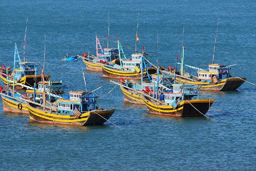 Chinese vessel hits Vietnamese fishing boat