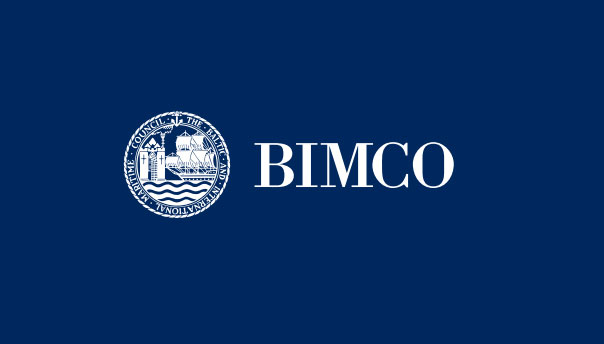 BIMCO: COVID-19 impacts ability to comply with EU’s ship recycling regulations