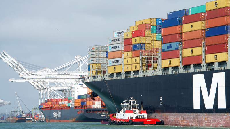 MSC to buy six post-panamax units from Germany