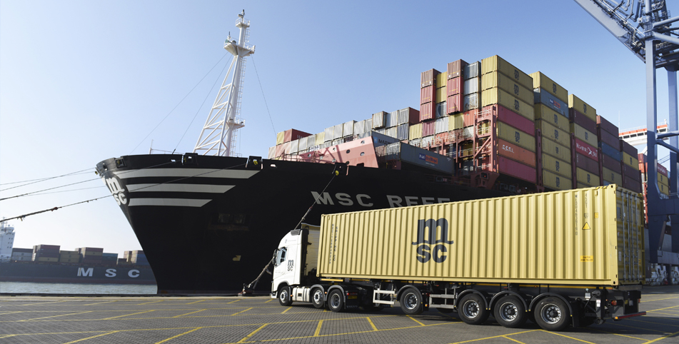 Swiss-headquartered MSC linked to Borealis boxship pair