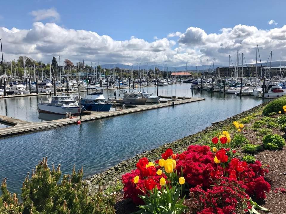 Port of Bellingham aims to reduce greenhouse gas emissions by 86%