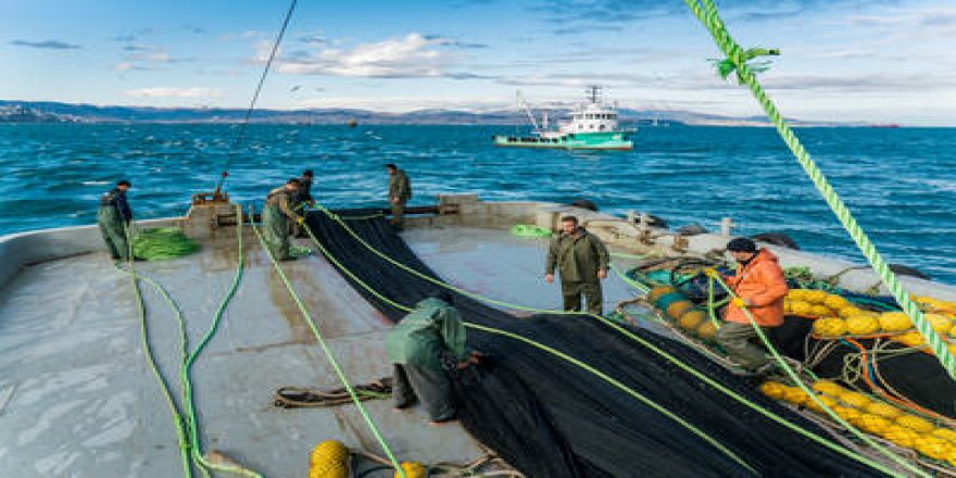 GFCM unveils MedSea4Fish, an ambitious fisheries programme to continue turning the corner on overexploitation in Mediterranean Sea