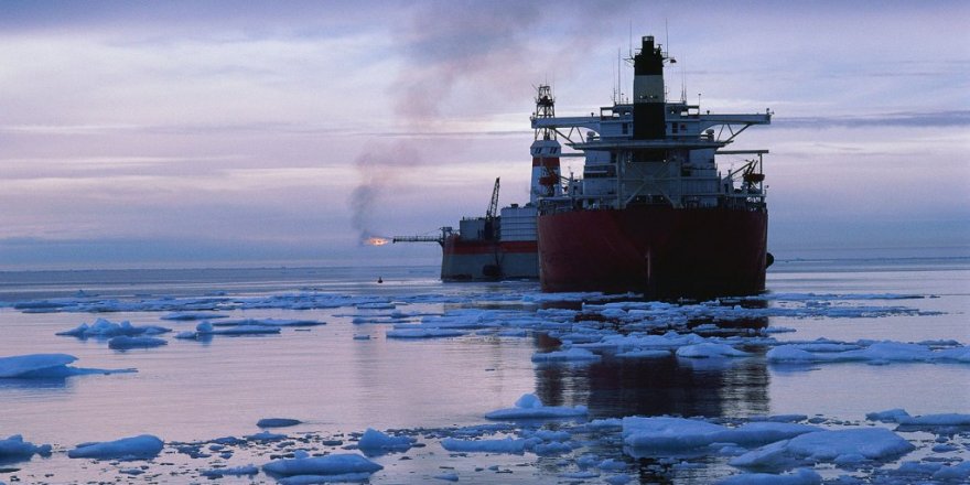 MSC is rejecting the use of Arctic routes