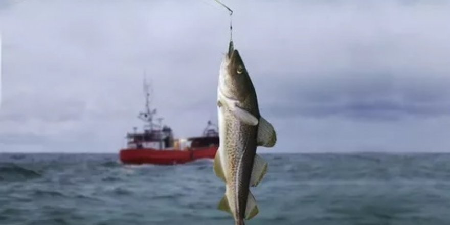 New requirements for fishing in Baltic Sea