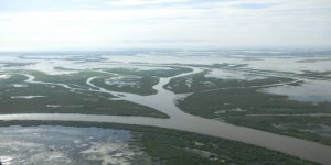 Study finding deltas help in reducing the impact of river floods