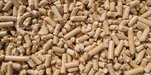 Biomass fuels can reduce the global warming