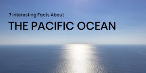 7 Interesting Facts About The Pacific Ocean