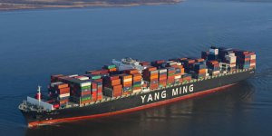 Yang Ming's carbon emissions dropped by 51% since 2008