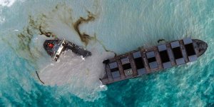 Greenpeace sends open letter to Nagashiki Shipping and Mitsui O.S.K. Lines