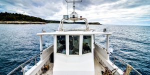 Russian Fishery Company launched a marathon