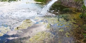 400m gallons of untreated sewage dumped into sea